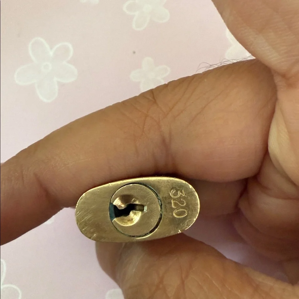 Louis vuitton brass lock set #320